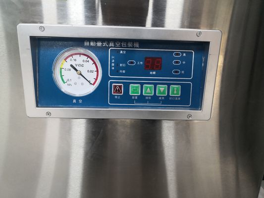 20 L/S Коммерческая вакуумная упаковочная машина для сырного мяса хлеба Модель DZ-400